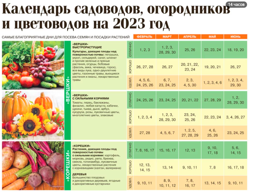 Дни посадки картофеля в апреле 2024. Таблица садовода и огородника посевной. Календарь рассады. Посевной календарь таблица. Лунный календарь для рассады.