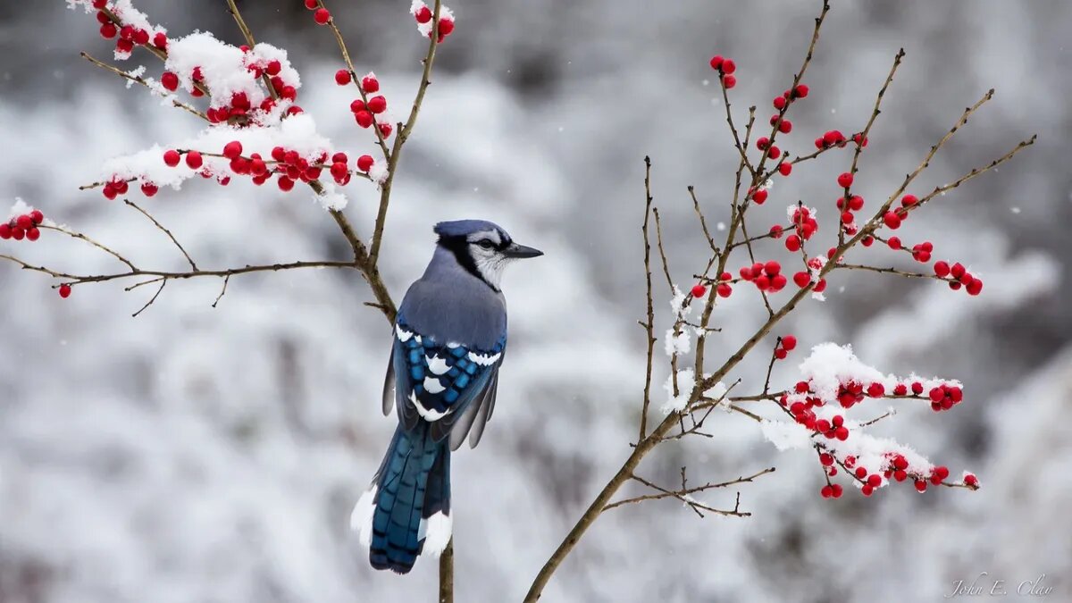 Предстоящие выходные обладают огромным количеством запретов. Фото: pxhere.com