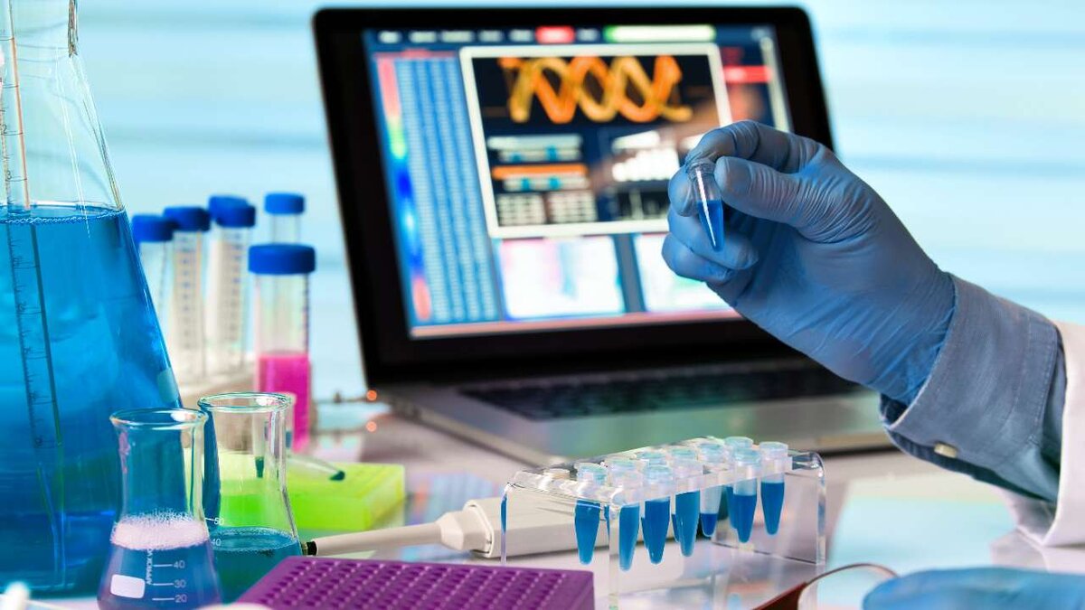    В России расширят перечень лиц, подлежащих обязательной сдаче ДНК