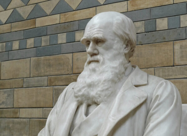    Фото: pixabay.com