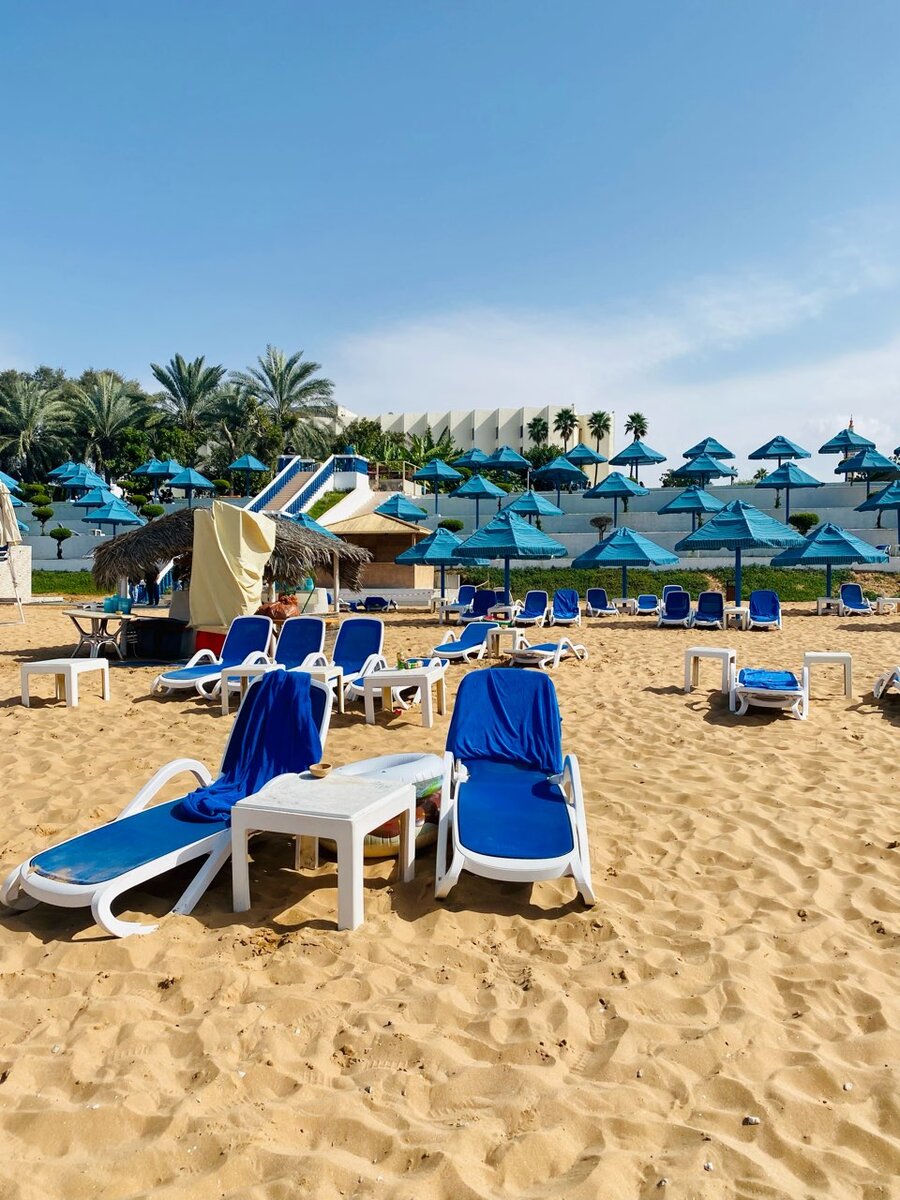 Bm beach hotel рас эль