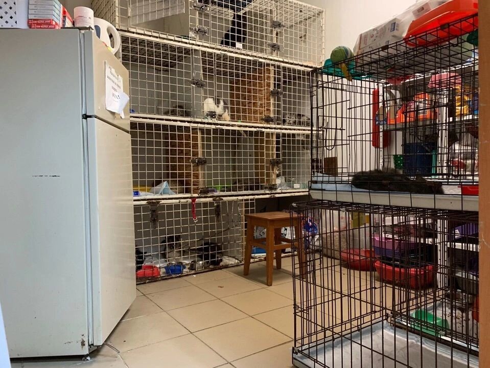 Стационар до реконструкции