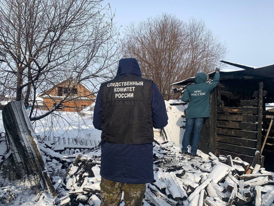     Фото: пресс-служба СК РФ по Томской области