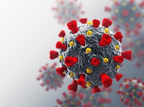     фото вк Лесозаводское Общество Инвалидов