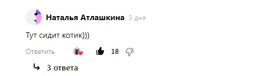 скриншот комментария с этого канала