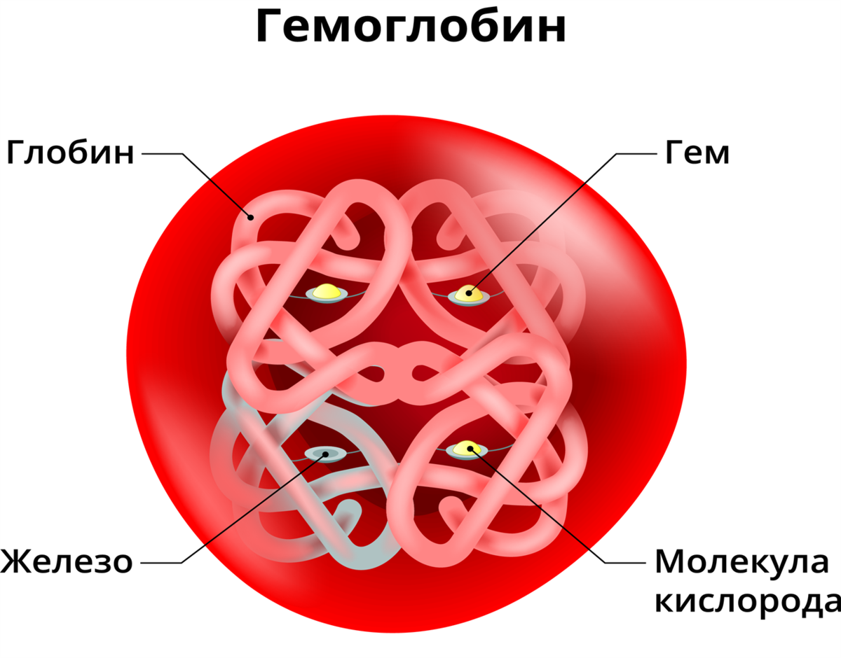 Анемия: признаки железодефицита