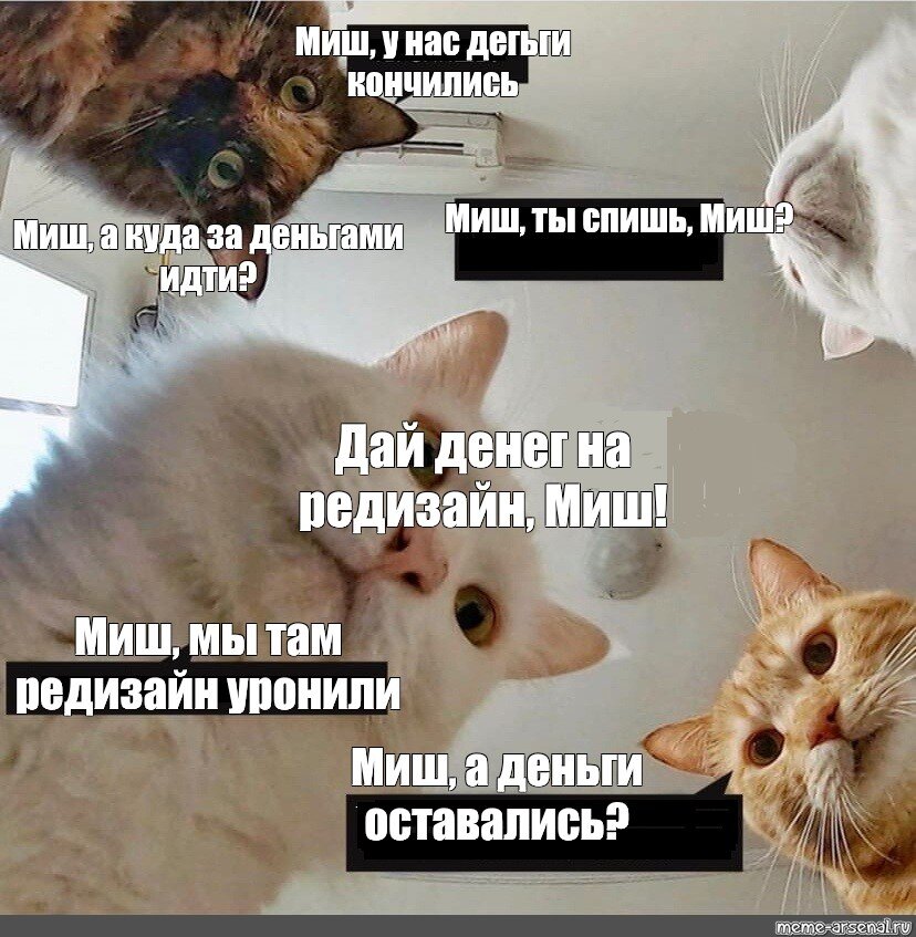 Кот дает деньги мем Первый день весны: среда Tолковая Алина Дзен
