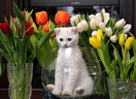 �� � �� ��� ���� ������ ������ �� ������� ))) ���� �� � �� ���-�� ���������. � ������ ������ - ���-��... ���� �� ���������.