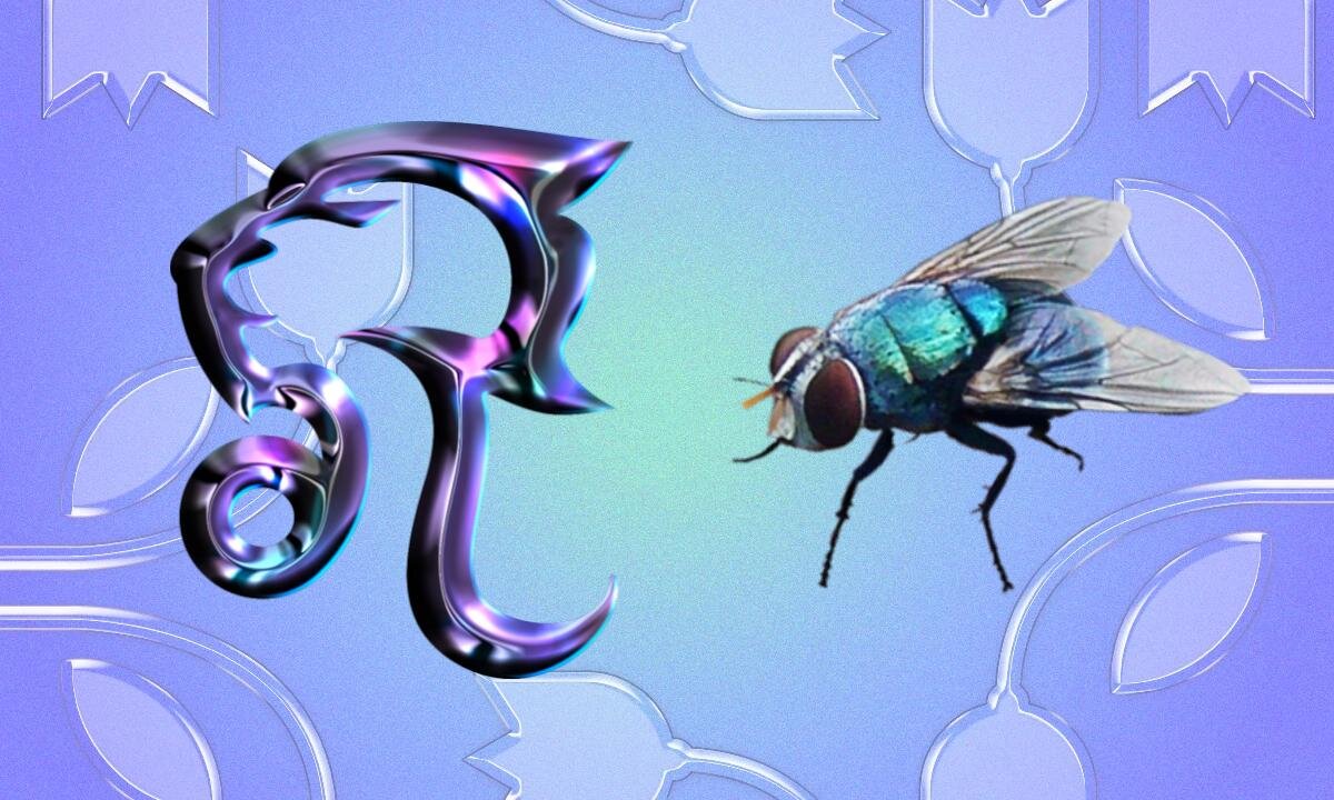 2017 гороскоп какого. Знаки зодиака какие насекомые.