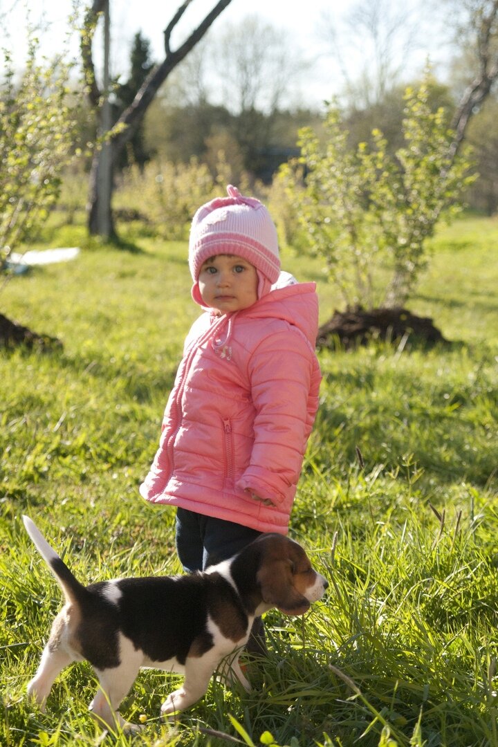 Год ребенку, месяц - щенку