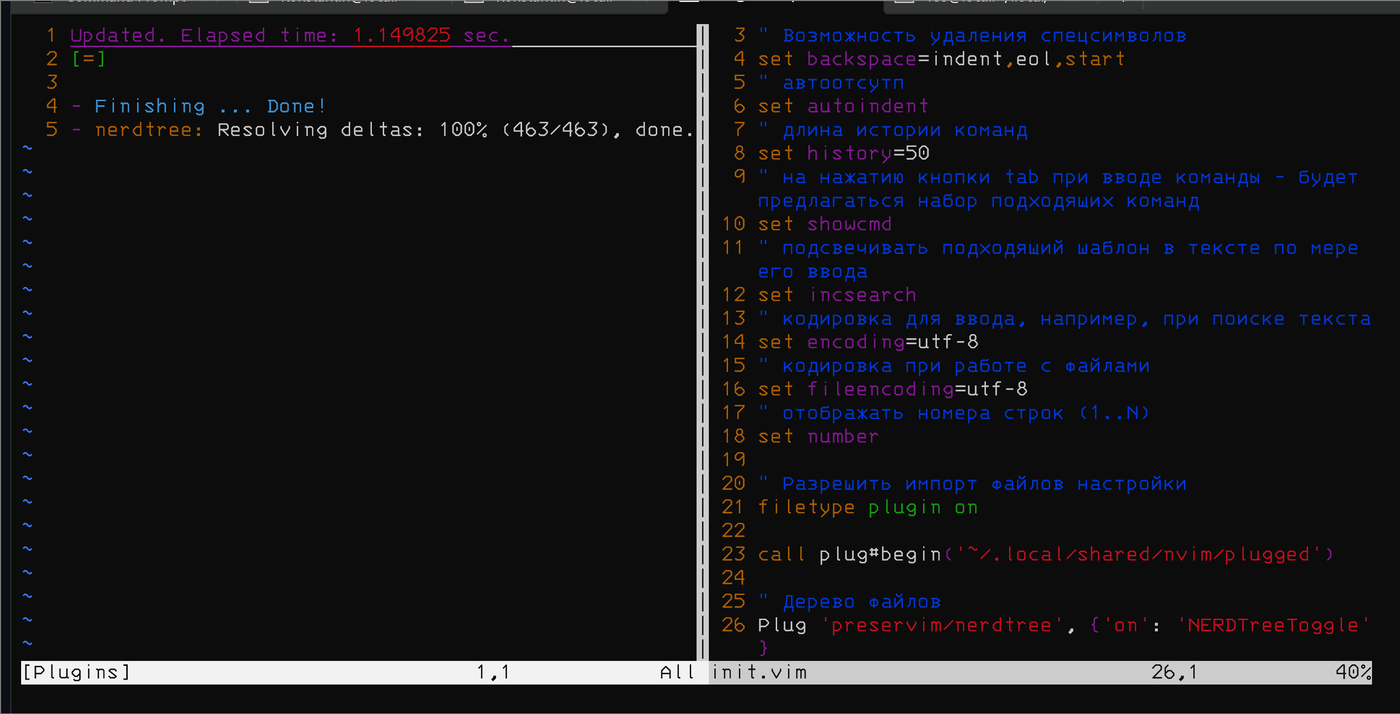 Процесс установки плагина NERDTree