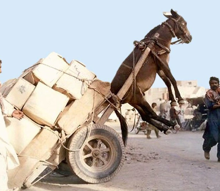 Эволюция грузоперевозок. С чего начиналась логистика... | Байкал Сервис ...