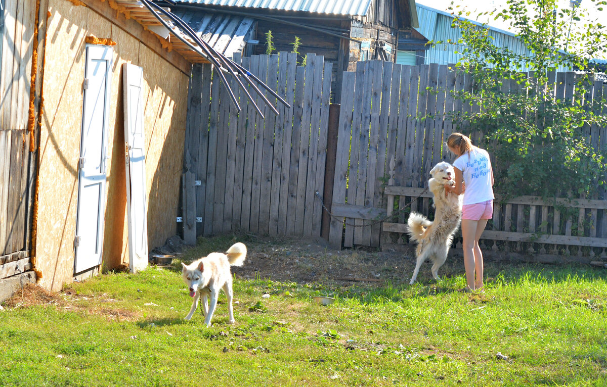 В гостях у Олега в 2016 году. 