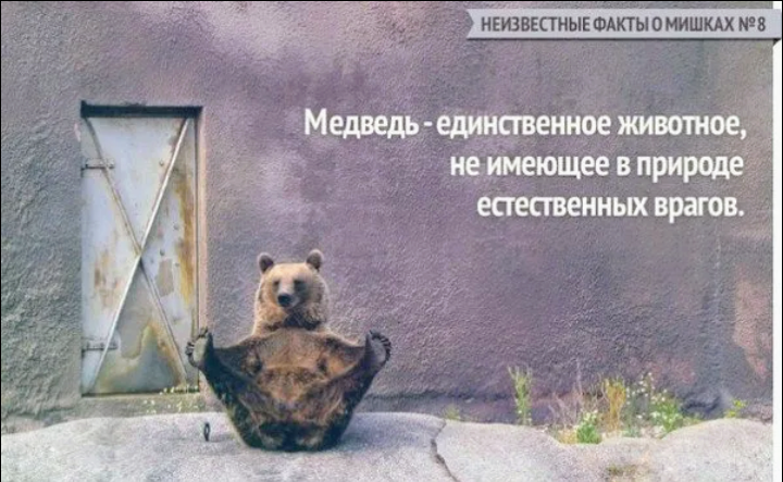 Картинка из интернета 