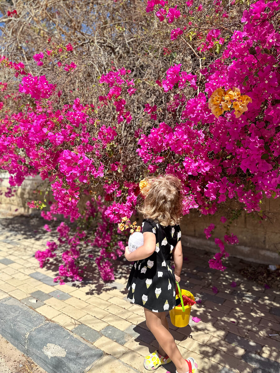 Отдых с детьми в Хургаде