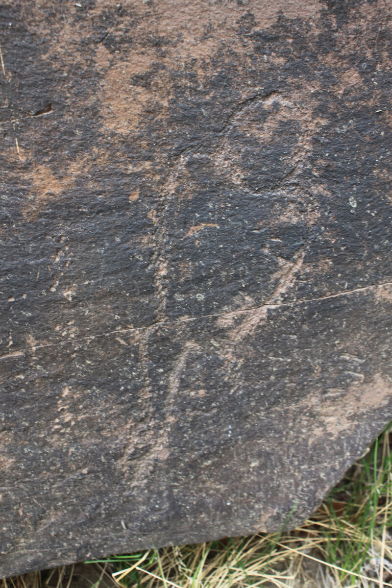 Изображение существа Колебылемыс на Шалаболинской писанице