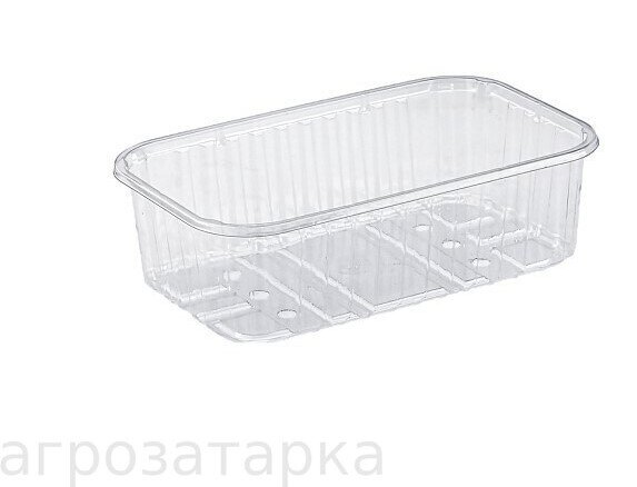 Источник: https://www.agrozatarka.ru/shop/product/plastikovyj-lotok-500-g-t6-60-prozrachnyj#lg=1&slide=0