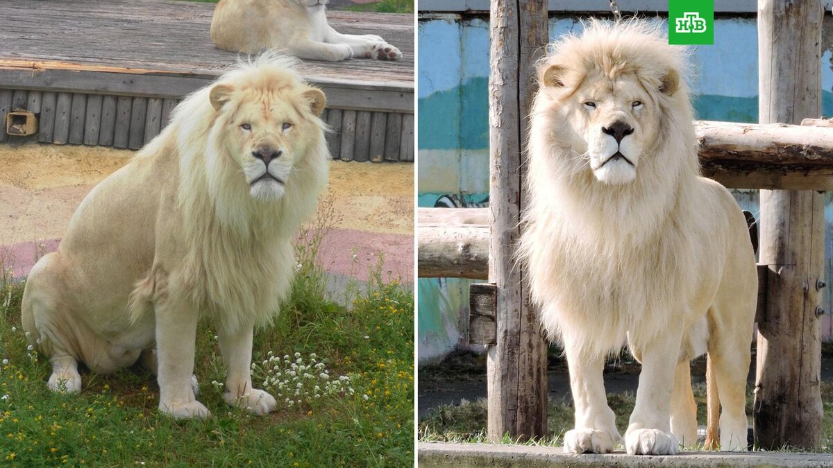    Фото: zooyar / vk.com