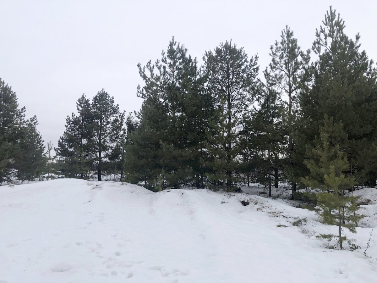 12 соток счастья