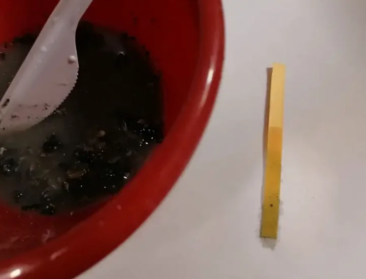 Тест-полоска только замазалась, а цвет не поменяла