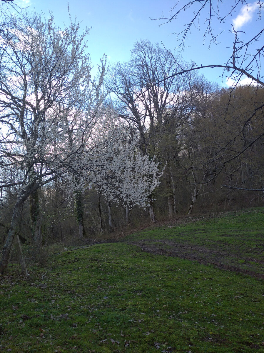 Неописуемые краски встечают нас в этом месте силы. Все благодаря заливным лугам и заботливым рукам земледельцев