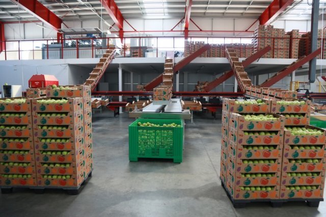    Продает ли Волгоградская область сельхозпродукцию на экспорт?