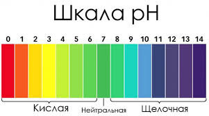У практически здоровых людей pH мочи может колебаться в пределах 4,5-8,0 — это зависит от состава употребляемой пищи.