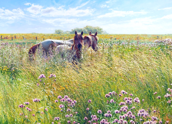 �����  ������� -  ������� ������ . �������� �����������: chernikh2022 