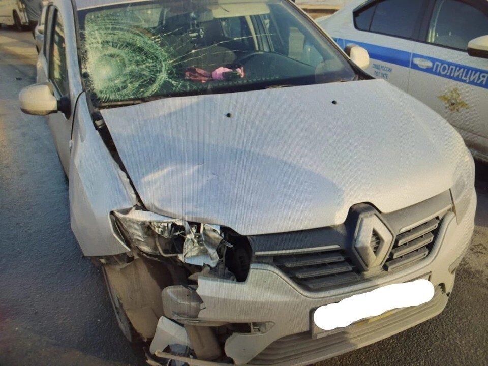     Фото: ОГИБДД Ухты