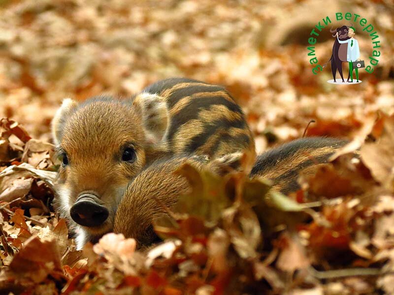 Фото: unsplash.com