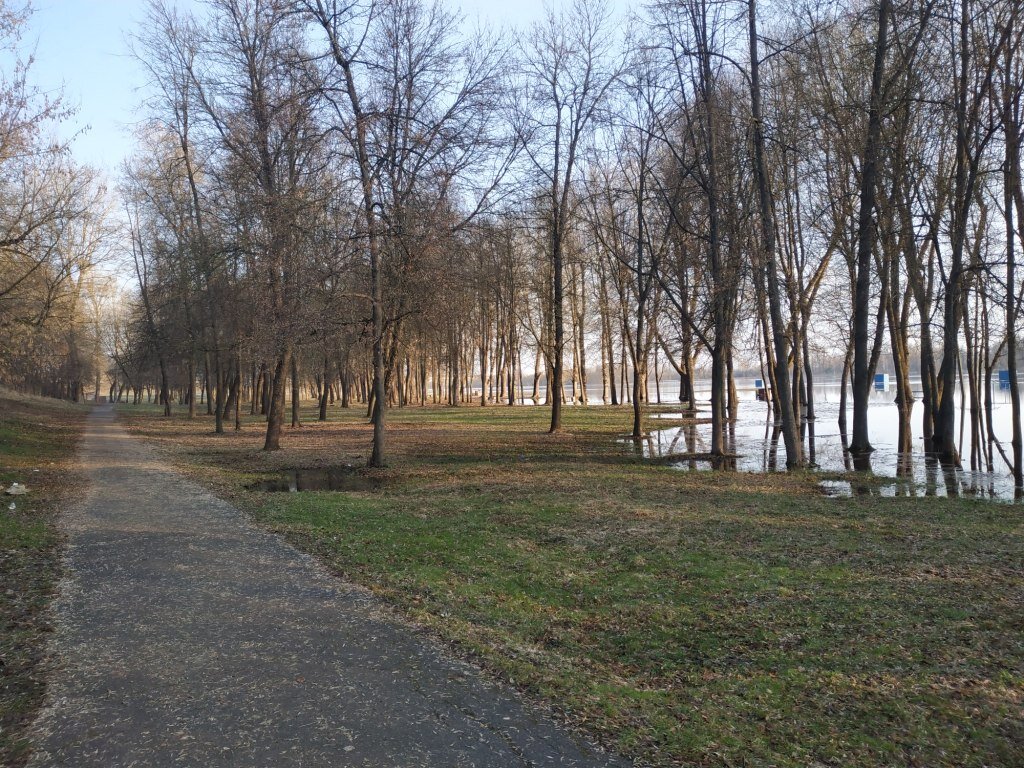 Как разлилась Березина. Фотофакт