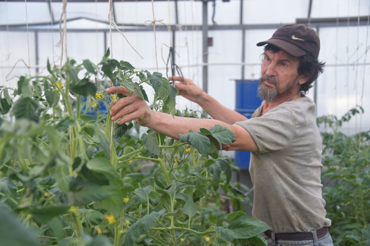 Стоит заранее спланировать график высадки культур.  Фото: Komsomolskaya Pravda / Global Look Press / globallookpress.com