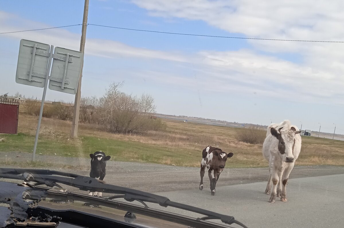 Фото автора.