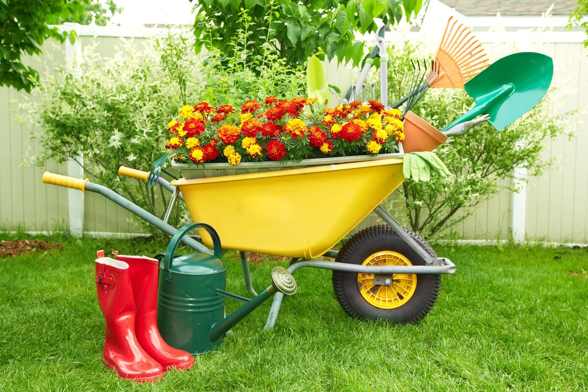 Тачка садовод. Садовая тележка Гарден. Тачка Садовая / Garden wheelbarrow. Садовая тележка Helex h815. Сад и огород.