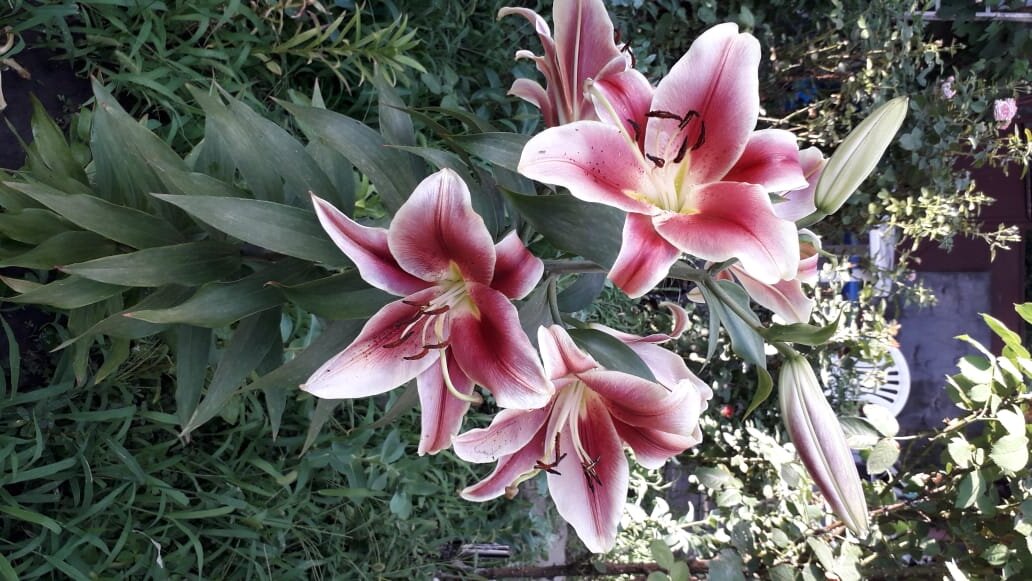 Фото Елены Погореловой