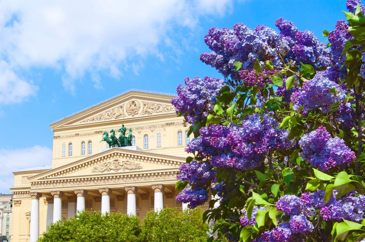 Предложение квартир в Москве