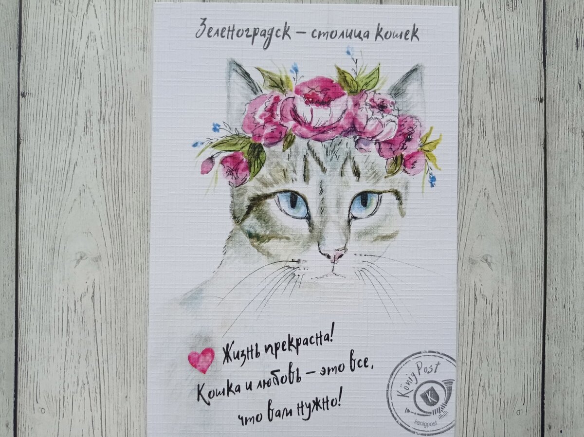 �������� �������� ���������