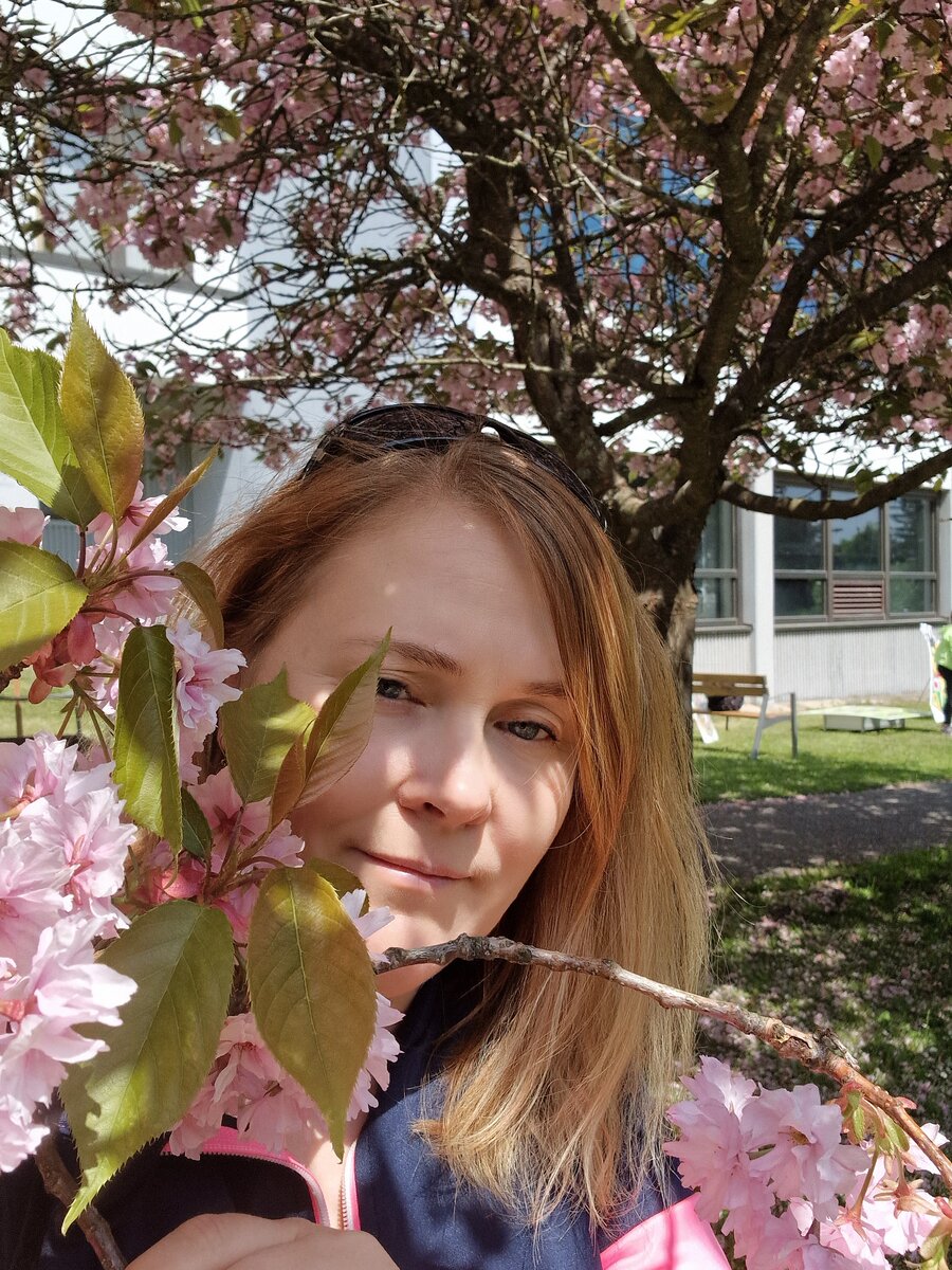 Это я в сакуре