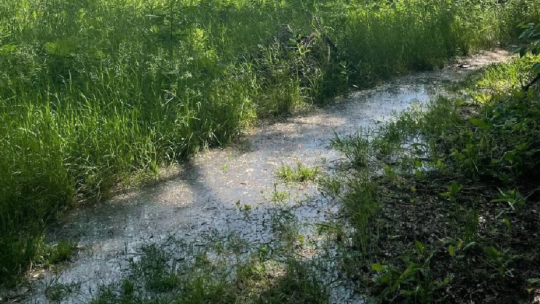     В Котово Волгоградской области уже более недели не могут справиться с засором в канализации у районной администрации. Нечистоты продолжают затапливать близлежащие территории и пойму реки Малая Казанка.