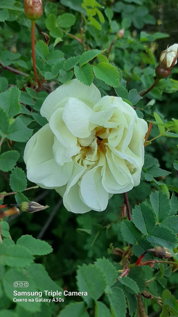 Фото автора .