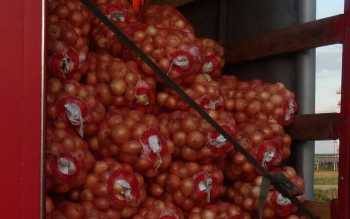    Россельхознадзор Оренбуржья не пропустил в страну более 500 тонн продукции из Казахстана Кристина Просвиркина