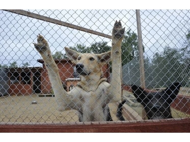 ФОТО: ИВАН ВИСЛОВ. 