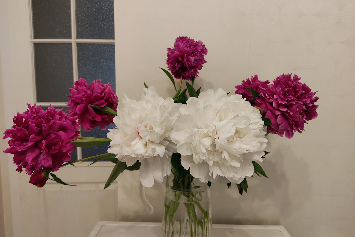 Фотография автора