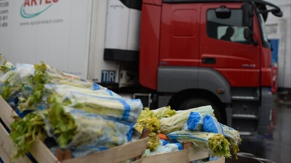    © Sputnik / Рамиль Ситдиков