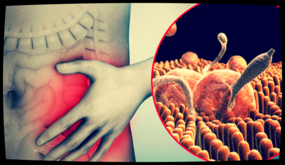 И какие провоцируют.