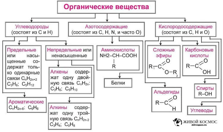     Разделы органической химии. Из открытых источников.