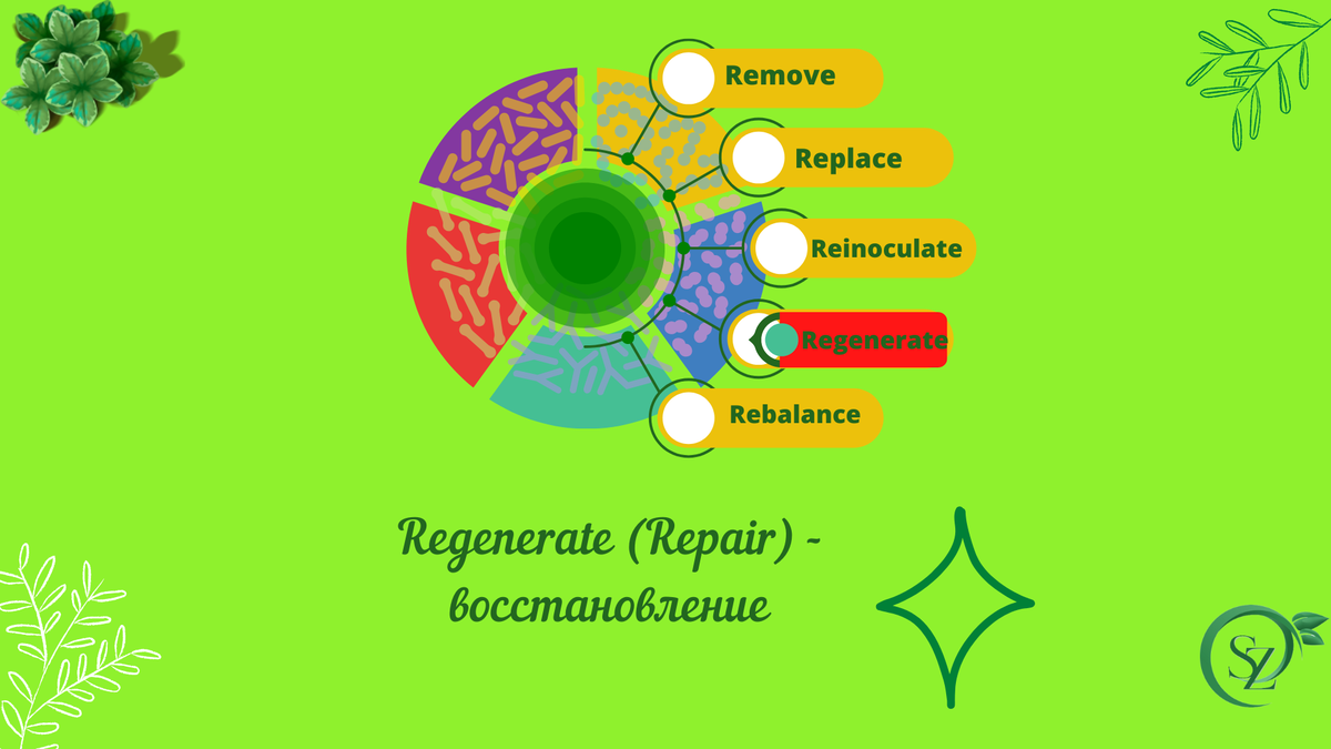 План питания от нутрициолога