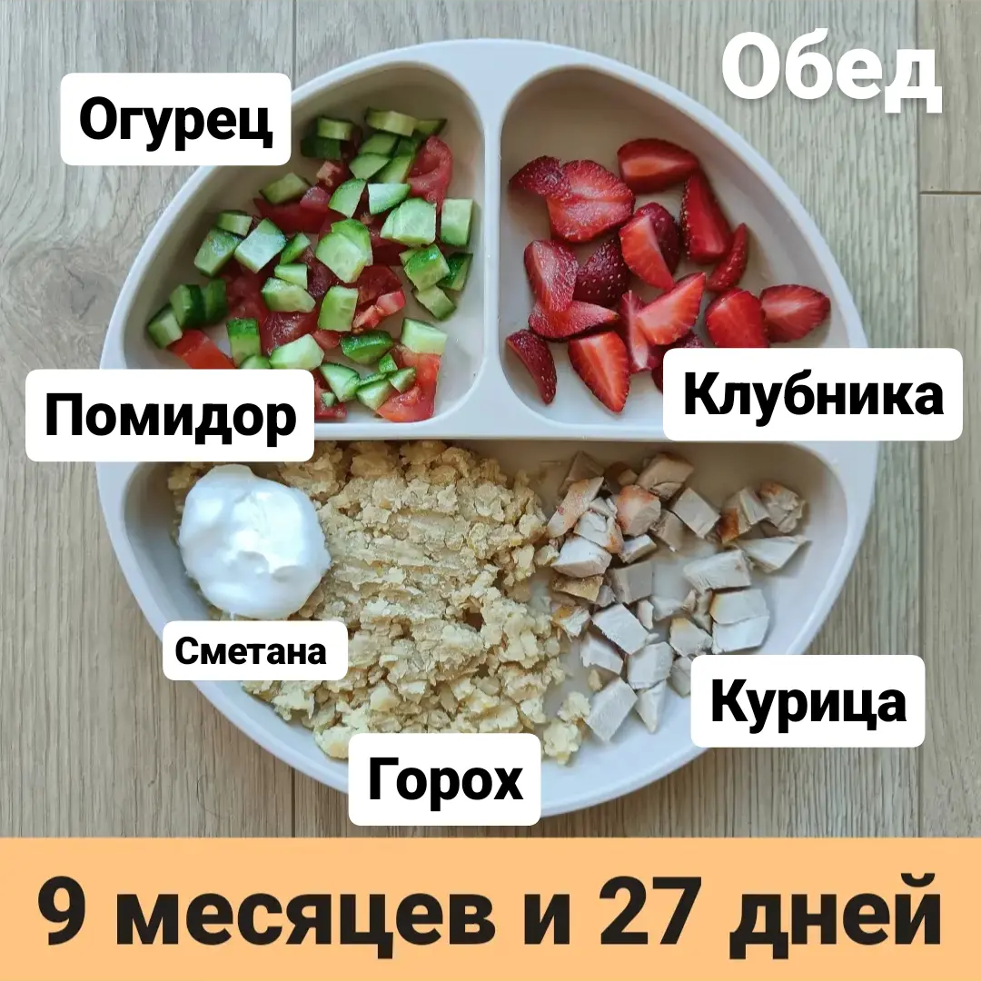 Пример тарелки в 9 месяцев 