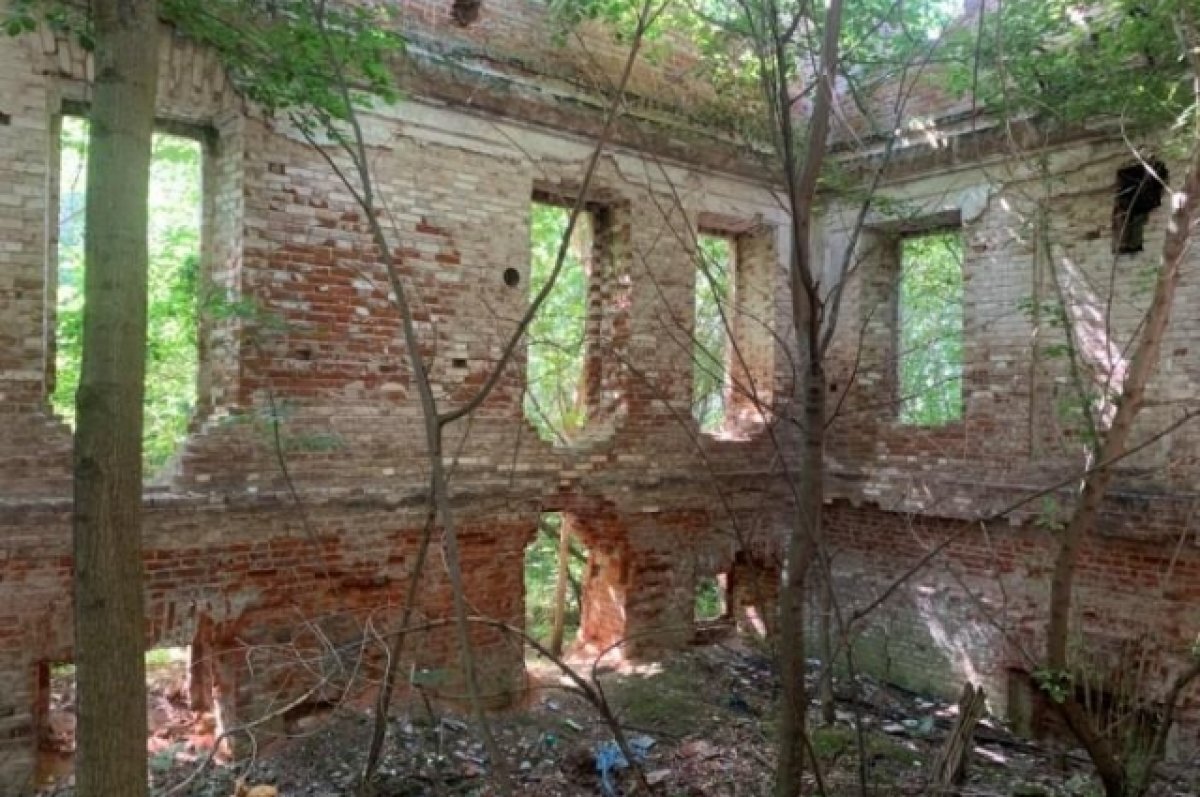    Архитекторы любят посмотреть на руинированные усадьбы, поскольку те не тронуты реставрацией.