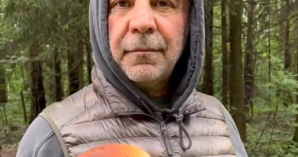 Битва за грибы!